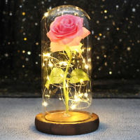 Rosa De Boda Con LED Galaxia Enchanted Con Luz En Domos Regalo De San Valentín Navidad Día De La Madre Belleza Y La Bestia Para Interior - details 8