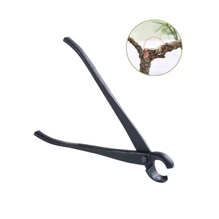  Herramientas De Bonsái Para Jardín Y Paisajismo: Cortaúñas Concavo Cinceladora 210mm Tijeras De Surtidor Y Acriscolas - 1