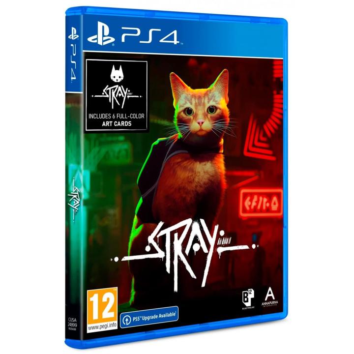 Stray