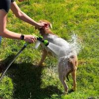 Pistola De Baño Para Perros Con Rojellador Ajustable 3 Modos Sprayer De Almohadilla Para Limpieza Y Lavado De Mascotas Herramienta De Limpieza Con Espuma - details 5