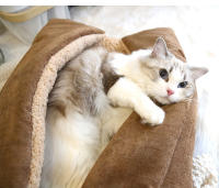 Cama Para Gato Caliente Y Gruesa Multifuncional Plegable Alfombra Para Mascotas Pequeñas Y Perros Pequeños Silla De Descanso Para Gatos En Casa Almohadilla De Sueño Para Mascotas - details 3