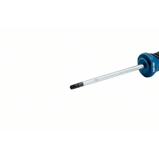 Bosch Professional - Destornillador Torx (punta T25 x 100 mm, acero S2), Azul - 1