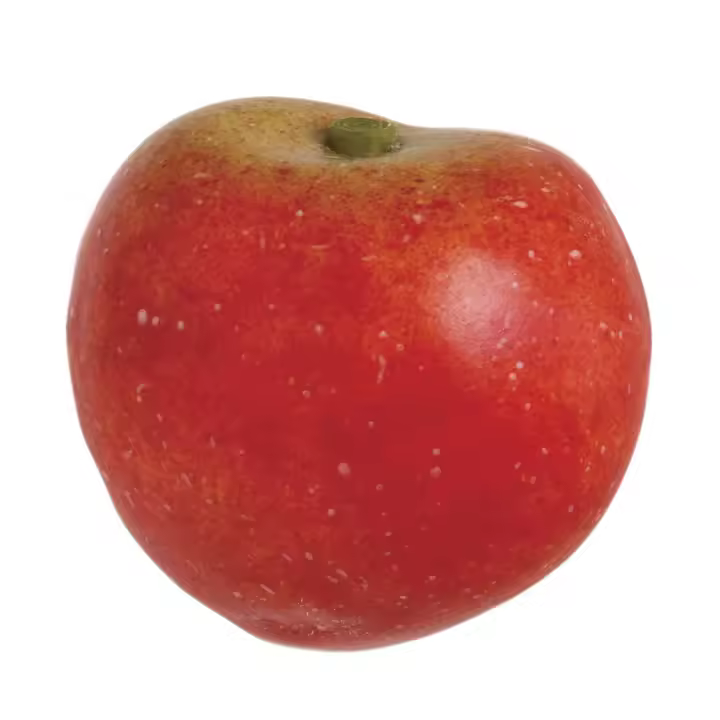 CIRUELA ROJA - 1