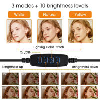 Anillo De Luz LED Para Fotografía 16/26/33cm Con Soporte Para Móvil 3 Modos Dimmer Luz De Maquillaje Para Videos En TikTok Y Streaming - details 1