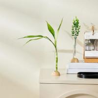 Vaso Hidroponico Transparente Con Base De Bambú Resistente Al Agua Para Decoración De Plantas En El Hogar Moderno Y Espacioso Juego De Flores Y Bonsái Para Mesa - details 5