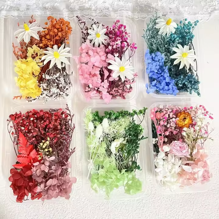 Paquete De Materiales Para Manualidades Con Flores Secas DIY Artesanía Artificial Para Decoración De Bodas Y Fiestas Cursos De Arte Flor Eterna - 1