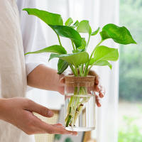 Bote De Vidrio Para Escritorio Ecológico Micro Paisaje Con Contenedor Hidroponía Y Acuario Para Plantas Verdes Y Peces Con Tapa De Madera Verde Diente De León - details 6