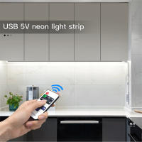 Tira De Luces LED Neón USB DC5V Dimmable Con Control Remoto RF Para Iluminación Decorativa De Cocina Y Habitaciones Luz SMD2835 Impermeable 50000 Horas De Vida - details 0