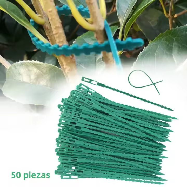 50pcs Amarras De Plástico Ajustables Para Plantas Reutilizables Soporte Para Árboles Y Enredaderas Como Tomates - 1