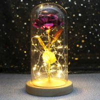 Rosa De Boda Con LED Galaxia Enchanted Con Luz En Domos Regalo De San Valentín Navidad Día De La Madre Belleza Y La Bestia Para Interior - details 22