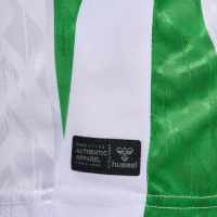 Banner - Real Betis Camiseta 1 niño 24/25 226813 6143