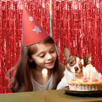 Juego De 1 Pieza De Cortina De Foil Dorado De 9.8 Pies Para Fondo De Fotografía De Cumpleaños Decoración De Fiesta Streamers De Aluminio - details 28
