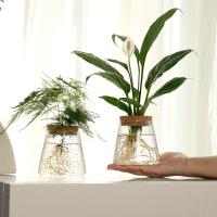 Estación De Cría De Plantas En Vaso De Vidrio 1pc Soporte Para Flores Y Vaso De Cultivo Ecológico Para Escritorio Decoración De Oficina Y Hogar - details 5