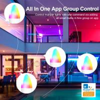 Bombilla LED Inteligente EWelink E14 Luz Candle RGB Control Remoto APP Y Voz Google Home Decoración Para Habitación - details 10