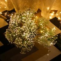 Luces De Cadena LED USB 5/10/20M De Hilo Plateado Impermeable Para Decoración De Fiesta Navidad Boda Y Vacaciones - details 8