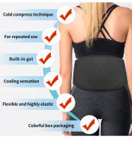 Traje de gel protector de cintura, compresa de hielo deportiva, compresa fría, compresa caliente, cinturón portátil, equipo multifuncional de protección de cintura para el hogar. - details 8