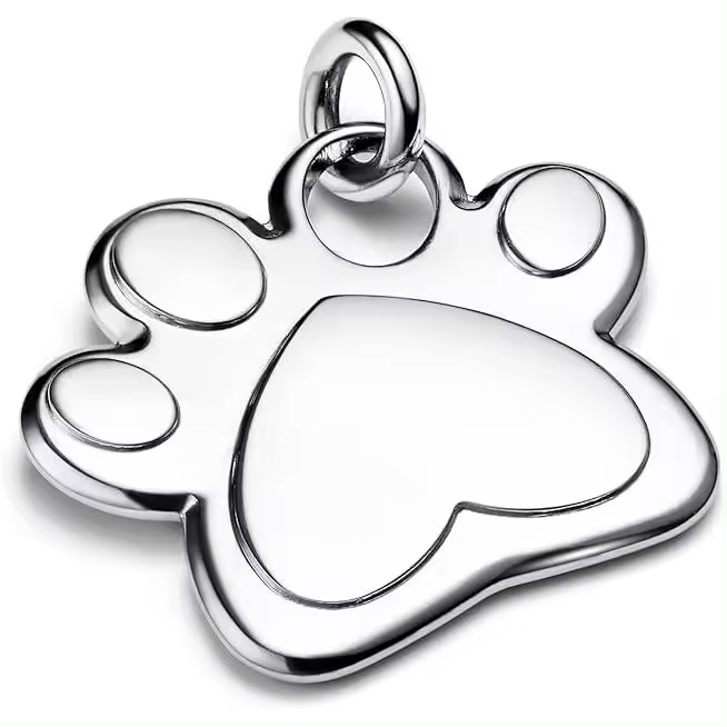 PANDORA Moments 312268C00 - Colgante de acero inoxidable con diseño de huella de perro para mascotas, talla única, Acero inoxidable，Incluye Caja Original - 1
