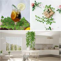 Guirnalda De Hojas De Iva Artificial De 2.1m Para Decoración De Hogar Jardín Boda Fiesta DIY Plástico Verde Colgante - details 8