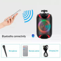 Sanda Altavoz DS-1818 Portátil Grande 8 Pulgadas Bluetooth Inalámbrico con Luces LED Geniales - details 4