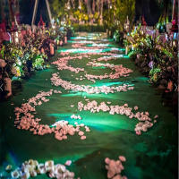 Carpetas De Novia Verdes Accesorios De Boda Alfombra De Isla Para Ceremonias Y Fiestas Decoración Interior Y Exterior - details 11