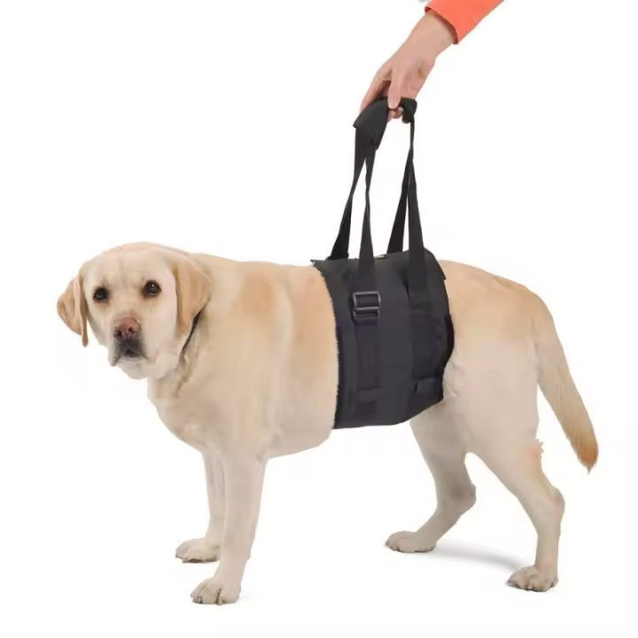 Ortocanis - Banda de Ayuda para Perro - Arnés de Rehabilitación Postquirúrgica - 1