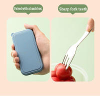 Juego De Comedor Portátil Para Niños En Acero Inoxidable 304 Uso Exterior Utensilios De Desayuno Y Postre Combinación De Cuchara Y Tenedor - details 9