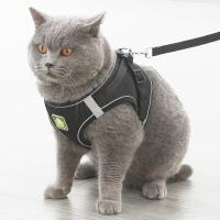Juego De Correa Y Harnés Reflectante Para Perro Y Gato Transpirable Evita La Pulla Vestido De Dibujante Animado Para Todas Las Estaciones - details 1