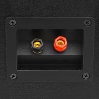 vidaXL Altavoces pasivos escenario profesional hifi 1000 W negro - details 5