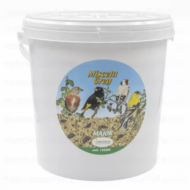 Mixtura Greg Goldfinch Major Ornitalia 5 Kg - 1