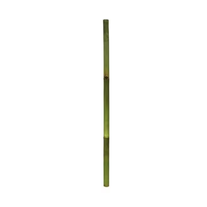 Gerimport Palo de Bambú Verde 7 x 120 cm - Decoración Natural para Interiores y Exteriores, Ideal para Proyectos Creativos, Soportes de Plantas y Arreglos Florales, Añade Estilo y Frescura a Tu Hogar - 1
