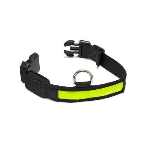 Collar para Perro de Nylon Resistente con Franja Luminosa LED - Talla S 28-40cm/2,5cm Arquivet - 1