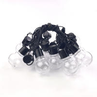 Cadena De Luces LED De 10/20 Bulbos Para Decoración De Bodas Fiestas Y Jardines Fuente De Alimentación Por Batería Blanco Cálido - details 5