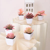 Juego De Macetas De Plástico Evergreen Para Decoración De Escritorio Y Oficina Estilo Suculentas Sin Mantenimiento Realista - details 19