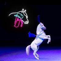 Cartel De LED En Forma De Cabeza De Caballo Para Cowgirl Decoración De Pared Artística Para Campo Equestre Granjas Juegos Habitaciones De Barra - details 3