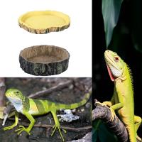 Tazón De Resina Para Reptiles Acuario De Alimentos Y Agua Para Tortugas Lagartos Escorpiones Caracoles Suministros De Mascotas Tipo De Alimento: Vegetal - details 5