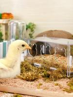 Alfombra De Alimentos Para Pollos En Acrílico Transparente Y Antisalpicaduras Gran Capacidad Con 3/5 Agujeros Para Ruttin Fabricada En Plástico - details 3