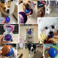Juguetes Para Perros Gigwi Bola Sonora De Goma Natural No Tóxica Juguete Chupable Para Pequeños Y Grandes Perros Juguete Elástico Divertido Para Jugar Al Aire Libre - details 11