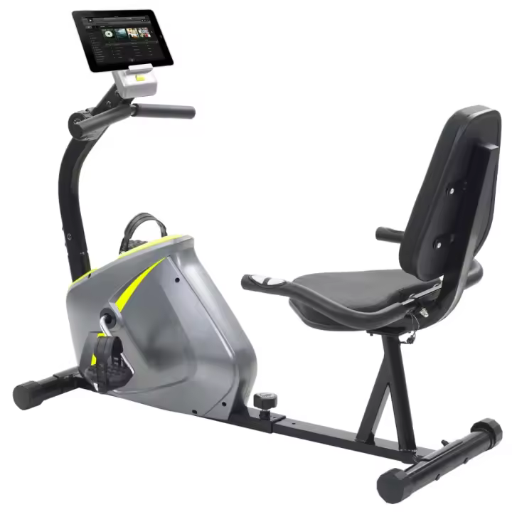 vidaXL Bicicleta estática reclinada magnética con pulsómetro - 1