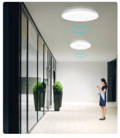 Lámpara De Techo LED Con Sensor De Movimiento 8W 16W AC220V Luz Fría Sensor Automático Fotosensible Decoración Para Casa Pasillo Garage - details 11