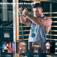 Banda De Resistencia Para Ejercicios De Musculación En Casa Equipo De Gimnasio Para Entrenamiento De Músculos En Todas Las Partes Del Cuerpo - details 0