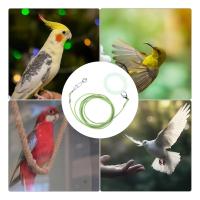 Correa De Entrenamiento Para Pájaros Parrot Con Cadena Antipatada Tamaño 6 Pies Material Resistente Para Exteriores Suministros Para Pájaros - details 2