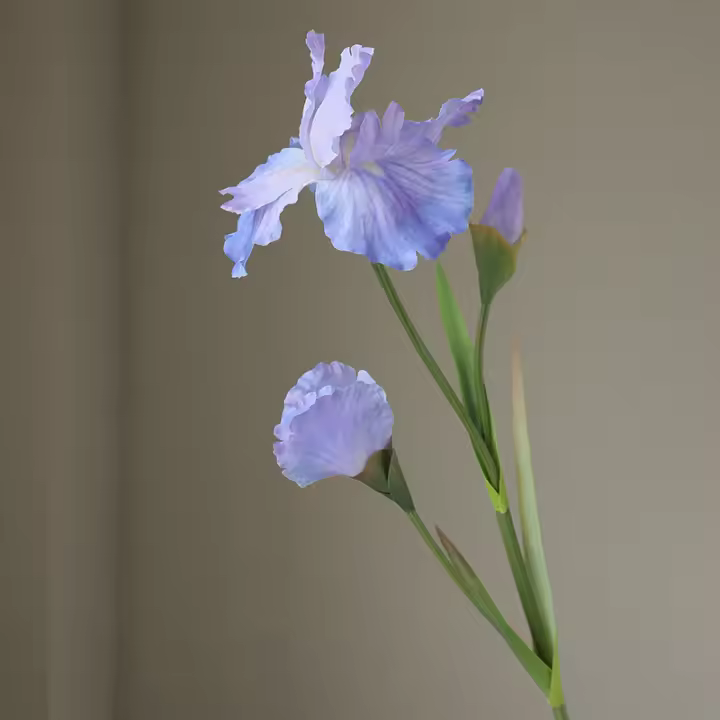 Rama De Iris Artificial Con 3 Cabezas Flores Silken Para Decoración De Mesa De Fiesta Decoración De Hogar Para Bodas Y Aniversarios - 1