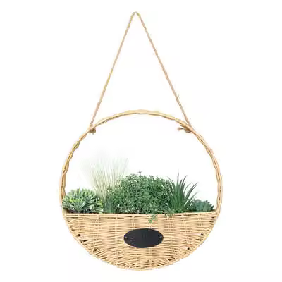 Factory Cuadros Planta para Colgar Ursula Diám. 40 Cm con Maceta Natural - 1