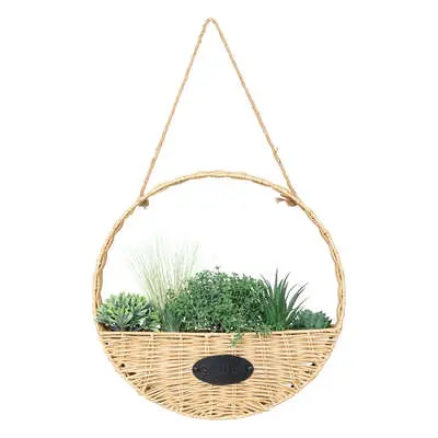 Factory Cuadros Planta para Colgar Ursula Diám. 40 Cm con Maceta Natural - 1
