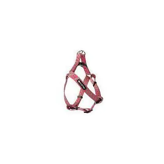 Arnés fantasy mint-pink - 1