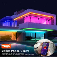 Lámpara Inteligente WIFI LED Neón Silicón Negro RGB Luz De Pared Decoración Trabaja Con Tuya Smart Life Alexa Resistente Al Agua - details 6
