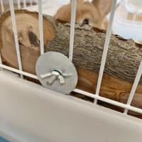 Juguete De Madera Antigolpe Para Pequeños Animales Conejo Totoro Palillo Dental Para Perro Pájaro Caja De Aves Soporte De Madera - details 5