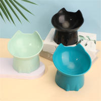 Tazón De Comida Elevado Para Gatos WhiskerWare En Plástico Con Borde Inclinado Protección Del Cuello Juego De Alimentos Para Mascotas - details 2