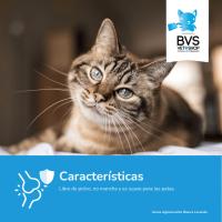 Arena Aglomerante Gatos Aroma Lavanda Premium Barakaldo Vet Shop 5Kg - 5L - details 1