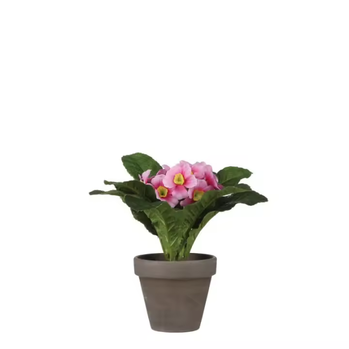 Maceta Artificial Primula Rosa 19cm - Planta de Imitación para Decoración de Interiores - 1